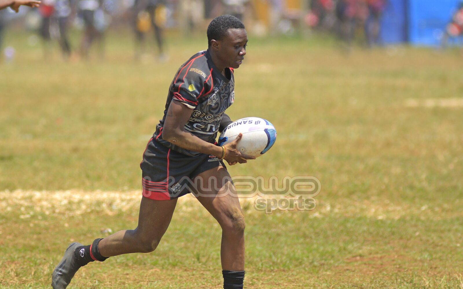 Black Pearls officially pull out of women's rugby league