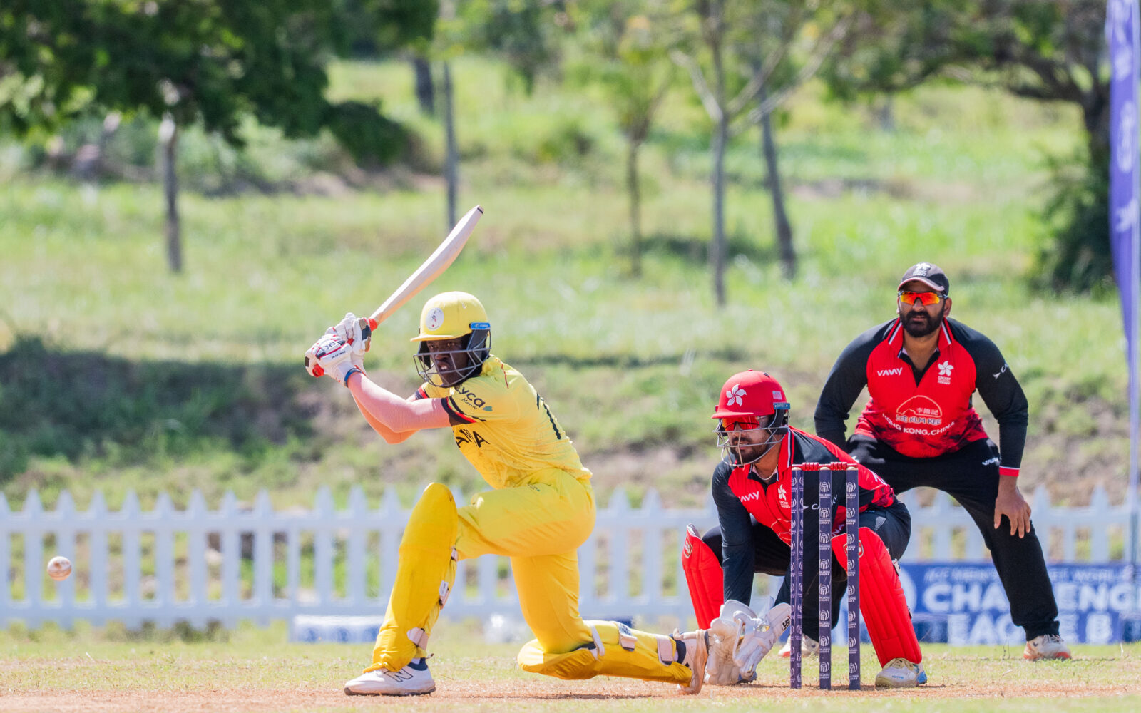 Cricket Cranes suffer second defeat in Dar