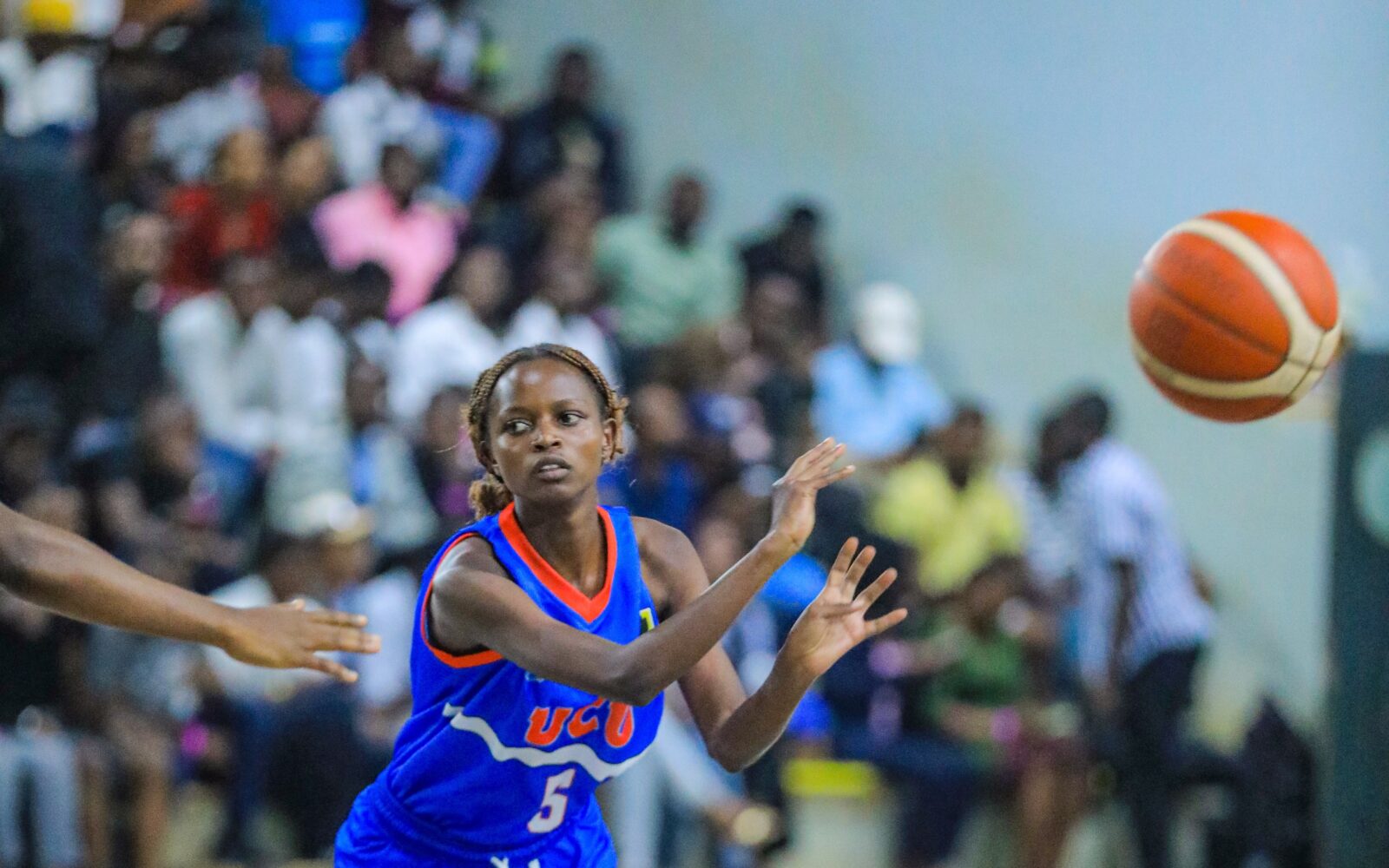 UCU Lady Canons out to wrap up NBL title